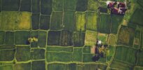 Study: ‘Land sparing’ — Farming has to be pragmatic, concentrated and as high-yield as possible to prevent an ecological catastrophe