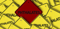 Should all phthalates be banned? Misrepresented study highlights problems with reporting on complex, evolving science