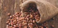 GMO bean benefits Brazil’s consumers and smallholder farmers