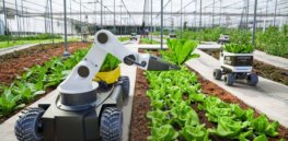 Agriculture Innovation Mission (AIM) for Climate: Europe notably absent in supporting USDA and Gates backed technology driven initiative to increase investment in climate-smart agriculture