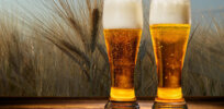 The perfect grain for the perfect beer: How CRISPR could improve barley crops