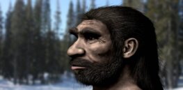 Will Homo longi elbow aside Neanderthals as our closest relative?