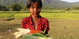 Crop extinction crisis? 50% of India’s produce varieties are at risk