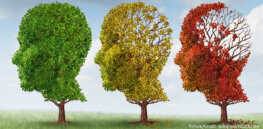 Cognitive resilience: MEF2 genes likely play role in protecting some people from age-related dementia