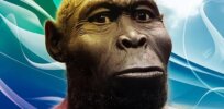 Discovery of new species Homo bodoensis may clean up — or muddle — the human family tree