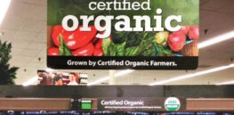 Viewpoint: If you seriously care about threats posed by climate change, steer clear of organic farming
