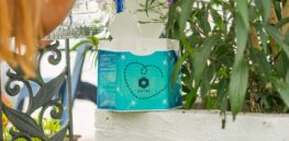Genetically modified mosquito suppression system to fight Yellow and Dengue Fever released for home use in Brazil