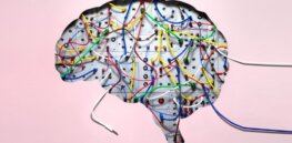 Why brains are excellent ‘prediction machines’