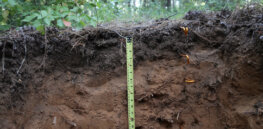 GMO crops and glyphosate use can offer carbon sequestration benefits, Canadian study suggests