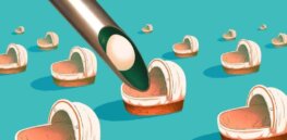 ‘Sanitized eugenics’: Did I do the right thing by selling my eggs to fund my education?