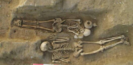 DNA from ancient Etruscan bones and teeth spurs rewrite of 25-century old Italian civilization's history