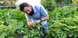 95% fewer insecticide applications? How integrated pest management (IPM) strategies can improve crop yields while slashing pesticide use