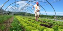 Can we feed the world with just organic agriculture? No, says pro-organic Swiss agronomist
