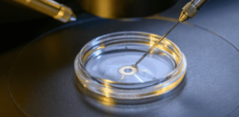 Could donated blood be transformed into lab-made replacement eggs for infertile couples? Silicon Valley is trying