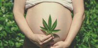 Pregnancy and cannabis: Maternal marijuana use linked to stress, anxiety, aggression and hyperactivity in children