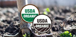 ‘The inscrutability of organic status’: Are you getting what you pay for when you buy food with an organic label?