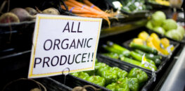 Part 1: The organic food industry's rejection of modernity
