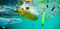 How dangerous is plastic pollution? These facts may surprise you