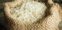 Endangered rice: Key crop provides 25% of global calories, but rising temperatures threaten long-term viability