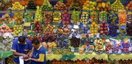 Food prices have increased by 33% worldwide and costs are continuing to rise. How can we boost productivity to feed a growing population?