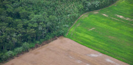 Journal article: ‘Sustainable intensification’ — Why high-yield farming may offer best solution to meet ecological and consumption demands
