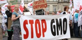 Going GMO-free? Why rejecting biotechnology leads to environmental and financial losses