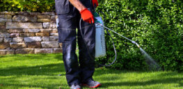 Viewpoint: Dissecting the misguided demonization of glyphosate, one of the world’s most effective and safest weedkillers