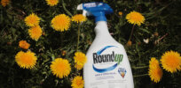 Supreme Court mulls reviewing Bayer convictions over Monsanto Roundup glyphosate weedkiller