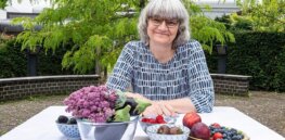 GMO purple tomatoes with more antioxidants poised for spring US rollout
