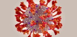 Omicron variant leads to generally mild symptoms in 40+ known US cases