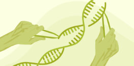 CRISPR poised to lead a revolution in managing crop diseases and pests