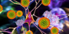 ‘Bleeding, blood clots, inflammation, oxygen deprivation and disruption of the protective blood-brain barrier’: For a sizable percentage of hospitalized COVID patients, the coronavirus targets the brain