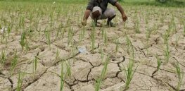 UN Food and Agriculture Organization notes worsening soil and water health, says agri-food systems could help reverse trend