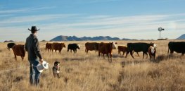 Viewpoint: Environmental Working Group on the wrong side of science with simplistic attack on animal agriculture's impact on climate