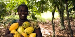 GMO crops have reduced pesticide poisoning among farmers, report finds