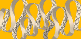 Programming biology: How gene synthesis will lead to a host of medical and drug innovations