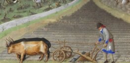 Viewpoint: 'Slow food' movement remains an aesthetic model for the elite — and doesn't produce a sustainable food system