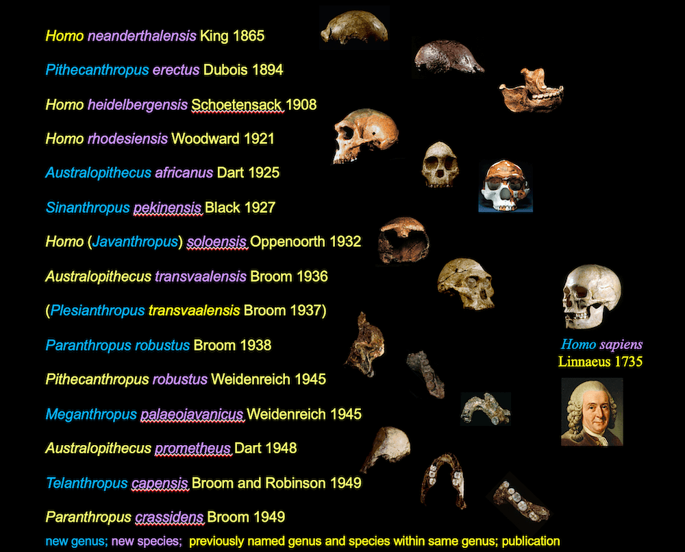 The humans we haven't met yet - Genetic Literacy Project