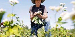 Viewpoint: Will the US endorse this Congressional proposal to adopt Europe’s innovation-stifling ‘precautionary principle’ regulation?