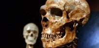‘You act like a Neanderthal’? Consensus view changes — Homo Sapiens no smarter than our extinct cousins