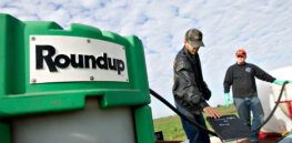 Supreme Court set to consider addressing lower court ruling that found Bayer’s Roundup herbicide caused applicator’s cancer