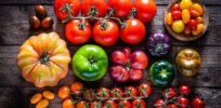 ‘Mission to find the perfect tomato’: Gene editing brings us antioxidant-rich, high-yielding varieties