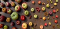 CRISPR gala apples among numerous gene-edited crops that could be greenlighted without regulatory approval in new USDA proposal