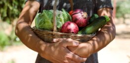 Europe’s controversial organic-focused Farm to Fork strategy may be headed to independent European Commission review after studies raise sustainability doubts