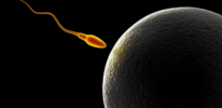 Determining when life biologically begins is too fuzzy to give clarity to the abortion debate