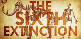 Sixth Mass Extinction: Why the world may be headed for a global biodiversity catastrophe, assessment claims
