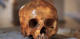 Out of Africa but not into Europe: Modern humans took a rocky path while settling the continent