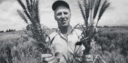 ‘An increase in food production does not necessarily result in less hunger’: Why we need a second Green Revolution embracing genetics and organic farming