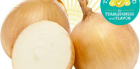 ‘Sweet and mild’: Non-GMO ‘tearless’ onion goes on sale in the UK after decades in development