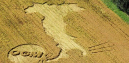 When it comes to embracing biotechnology in agriculture, ‘the rest of the world is not waiting for Europe’
